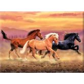Malování podle čísel - Běžící koně 40 x 30 cm