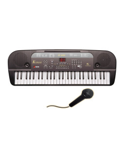 Elektronické klávesy MQ5405 s mikrofonem 54 cm