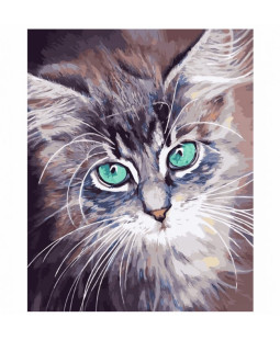Malování podle čísel na plátno Kočka, 30x40 cm