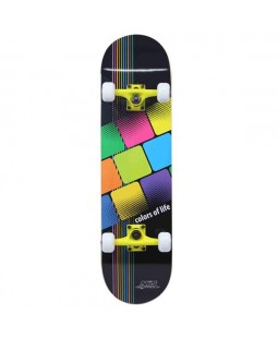 Skateboard Sb Color of Life CR 3108 Nils Extreme_1