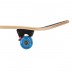 Skateboard Nils Extreme Spot CR3108SA, 78x20 cm