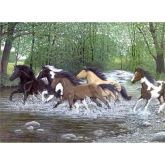 Malování obrázků podle čísel - Běžící koně 40 x 30 cm