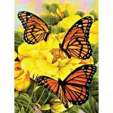 Malování obrázků podle čísel - Motýlci  22 x 30 cm