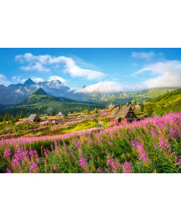 Castorland puzzle 1000 dílků, Dolina Gąsienicowa, Tatry, Polsko