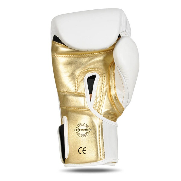 Boxerské rukavice DBX BUSHIDO B-2v19 10oz