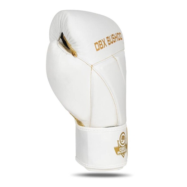 Boxerské rukavice DBX BUSHIDO B-2v19 12oz