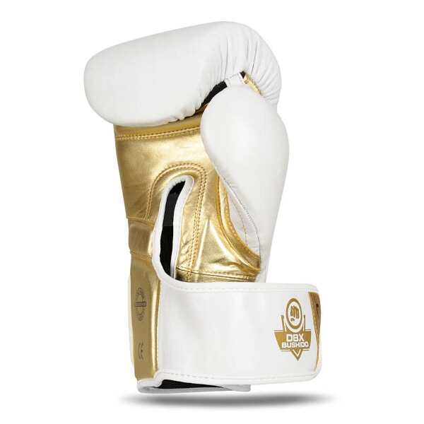 Boxerské rukavice DBX BUSHIDO B-2v19 12oz