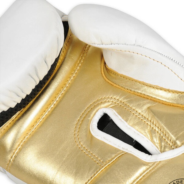 Boxerské rukavice DBX BUSHIDO B-2v19 12oz