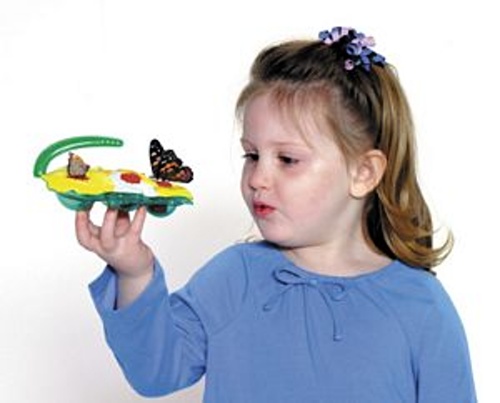 Motýlí krmítko - Butterfly Feeder