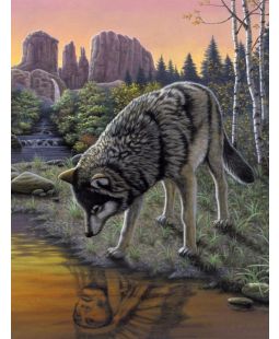Malování podle čísel - Vlk, 22 x 30 cm
