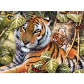 Malování podle čísel - Tygr a mládě, 40 x 30 cm