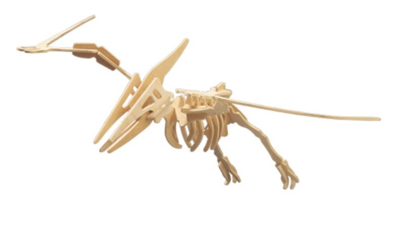 Woodcraft dřevěné 3D puzzle - skládačka Pteranodon J007