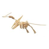 Dřevěné 3D puzzle - skládačka Pteranodon J007