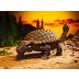 Revell 06477 Dinosaurus Ankylosaurus 1:13 - Gift-set