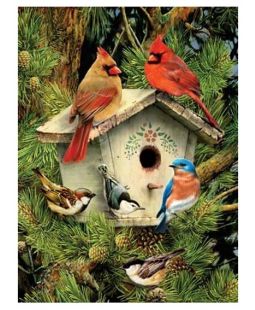 Malování podle čísel - Ptáčci u budky 22 x 30 cm
