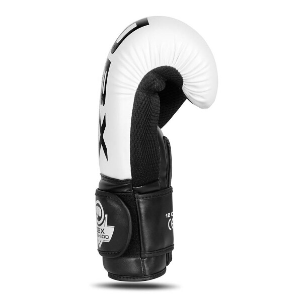 Boxerské rukavice DBX BUSHIDO B-2v20 10oz
