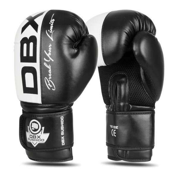 Boxerské rukavice DBX BUSHIDO B-2v20 10oz