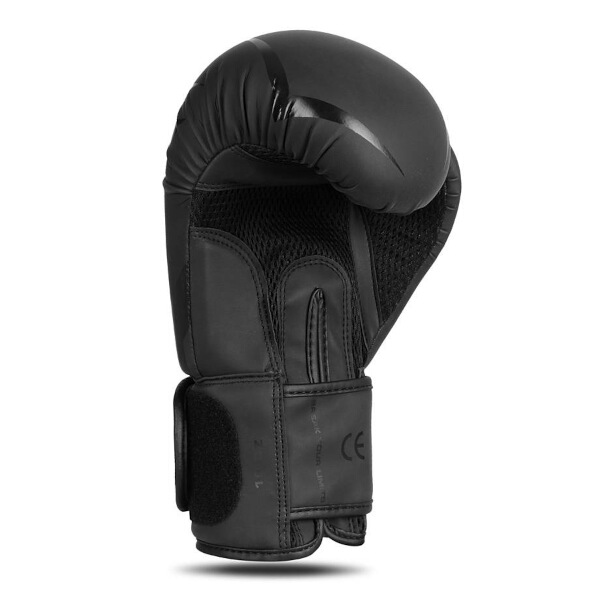 Boxerské rukavice DBX BUSHIDO B-2v22 10oz