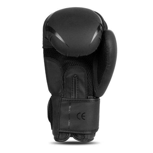 Boxerské rukavice DBX BUSHIDO B-2v22 10oz