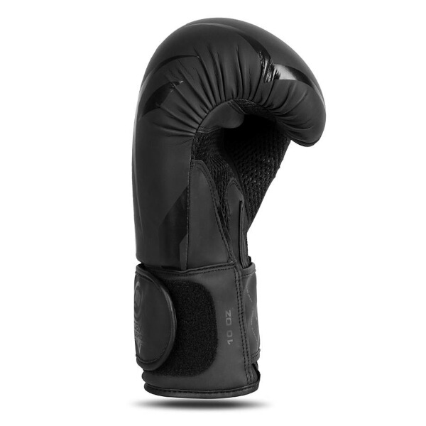 Boxerské rukavice DBX BUSHIDO B-2v22 16oz