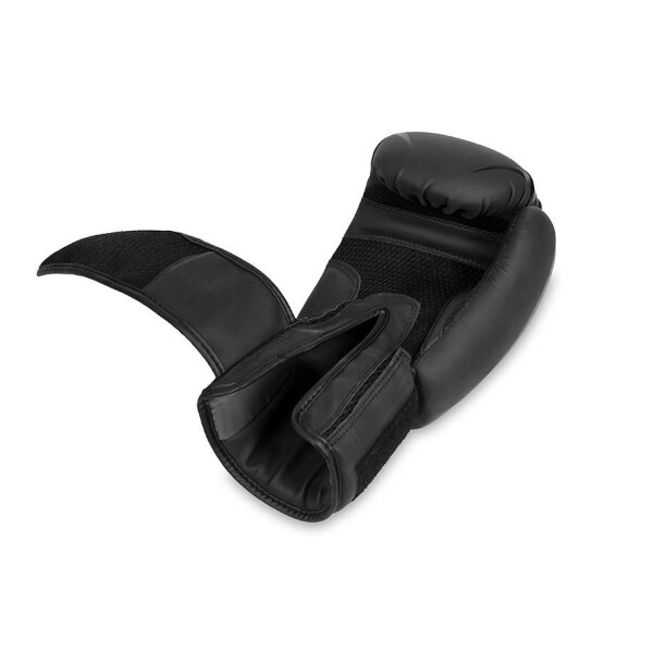 Boxerské rukavice DBX BUSHIDO B-2v22 16oz