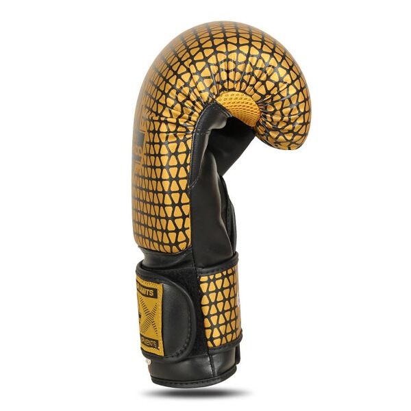 Boxerské rukavice DBX BUSHIDO B-2v23 10oz
