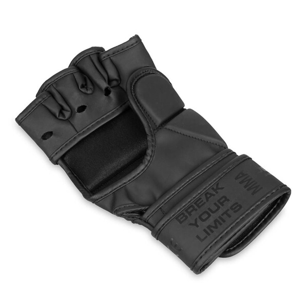 MMA rukavice DBX BUSHIDO E1V3 Black vel.XL