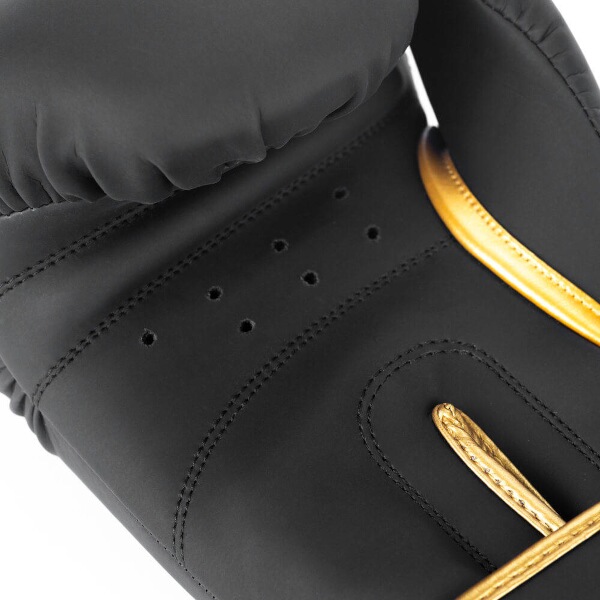Boxerské rukavice DBX BUSHIDO Gold Dragon 10 OZ