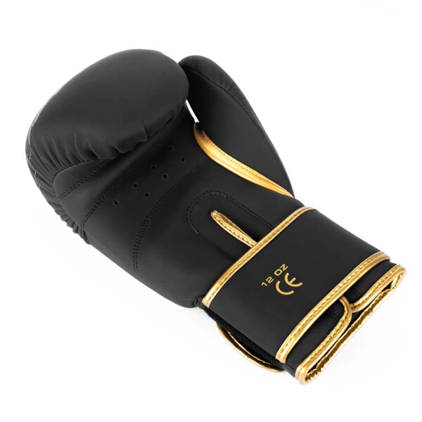 Boxerské rukavice DBX BUSHIDO Gold Dragon 12 OZ