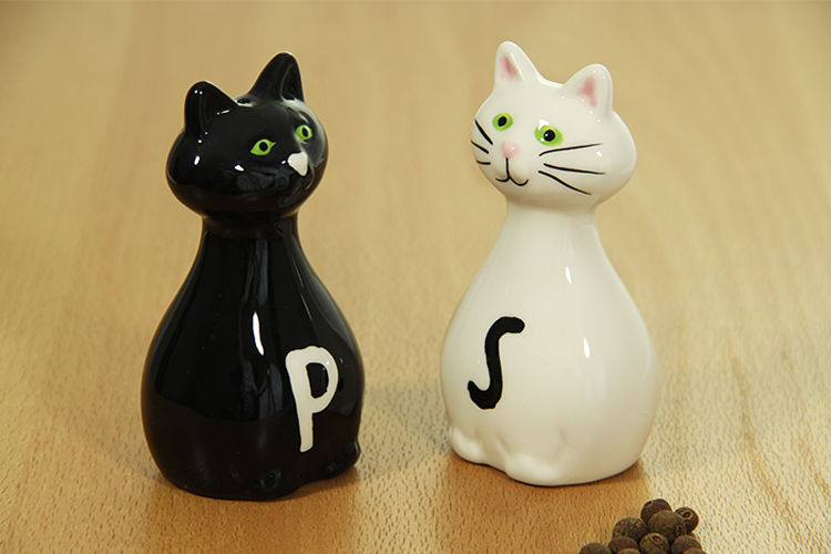 Solnička a pepřenka Kočky