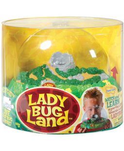 Insect Lore Bug Land, Pozorovatelna brouků 24 x 18,4 x  21 cm