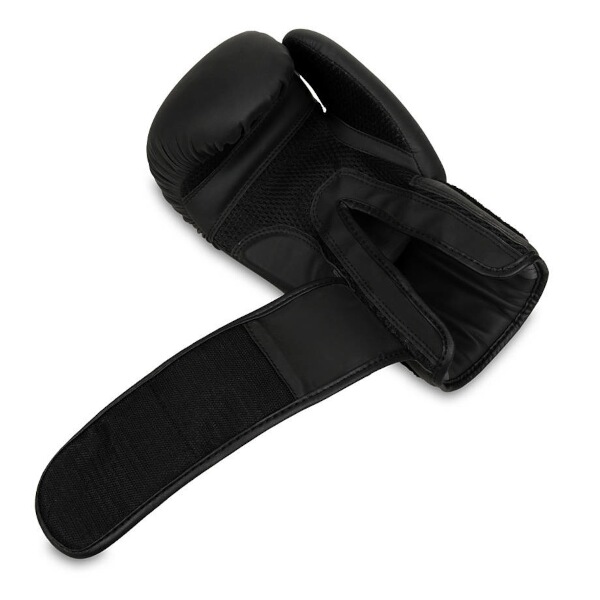 Boxerské rukavice DBX BUSHIDO B-2v21 10oz.