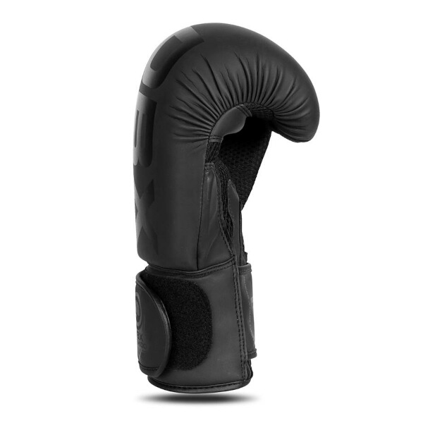 Boxerské rukavice DBX BUSHIDO B-2v21 12oz.