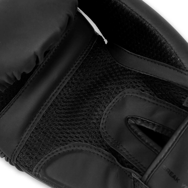 Boxerské rukavice DBX BUSHIDO B-2v21 12oz.
