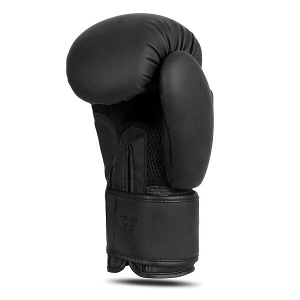 Boxerské rukavice DBX BUSHIDO B-2v21 16oz.