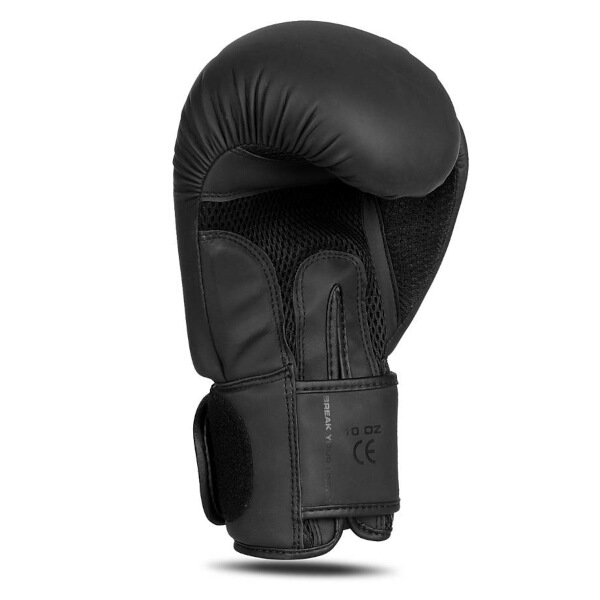 Boxerské rukavice DBX BUSHIDO B-2v21 16oz.