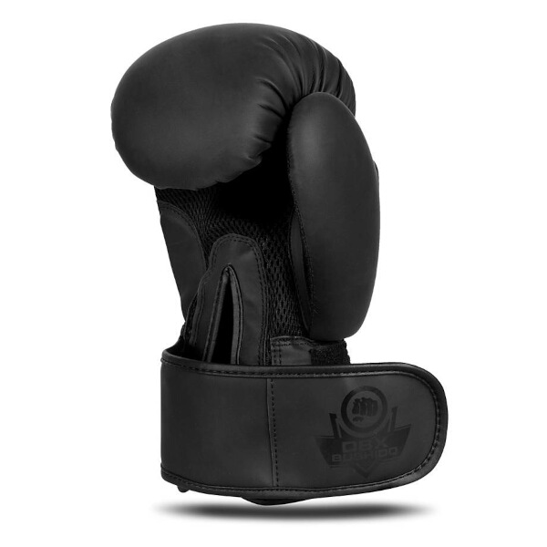 Boxerské rukavice DBX BUSHIDO B-2v21 16oz.