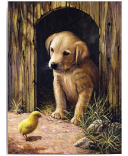 Royal Langnickel Malování podle čísel - Pejsek s kuřátkem