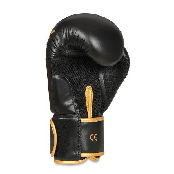 Boxerské rukavice DBX BUSHIDO B-2v17 16oz.