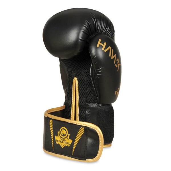 Boxerské rukavice DBX BUSHIDO B-2v17 16oz.