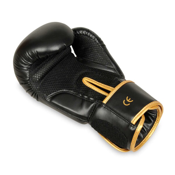 Boxerské rukavice DBX BUSHIDO B-2v17 16oz.