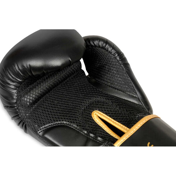 Boxerské rukavice DBX BUSHIDO B-2v17 16oz.