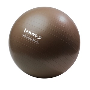 Gymnastický míč HMS YB02N 65 cm bronzový