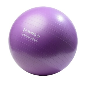 Gymnastický míč HMS YB02N 65 cm fialový