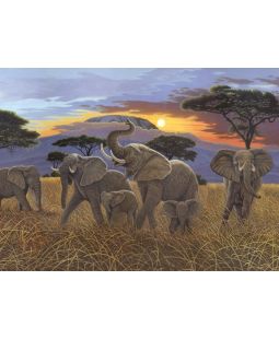 Malování podle čísel - Západ slunce nad Kilimanžárem, 40 x 30