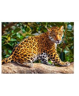 Puzzle Castorland 260 dílků - Malý jaguar