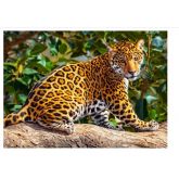 Puzzle Castorland 260 dílků - Malý jaguar