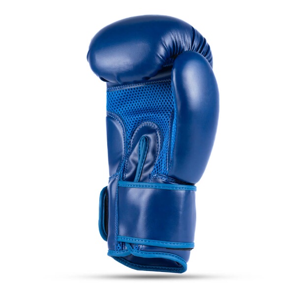 Boxerské rukavice DBX BUSHIDO ARB-407-Blue, vel. 10oz