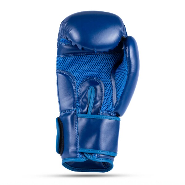 Boxerské rukavice DBX BUSHIDO ARB-407-Blue, vel. 10oz