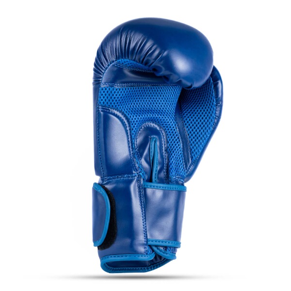 Boxerské rukavice DBX BUSHIDO ARB-407-Blue, vel. 12oz